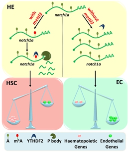 南宫娱乐·NG28(中国)官方网站