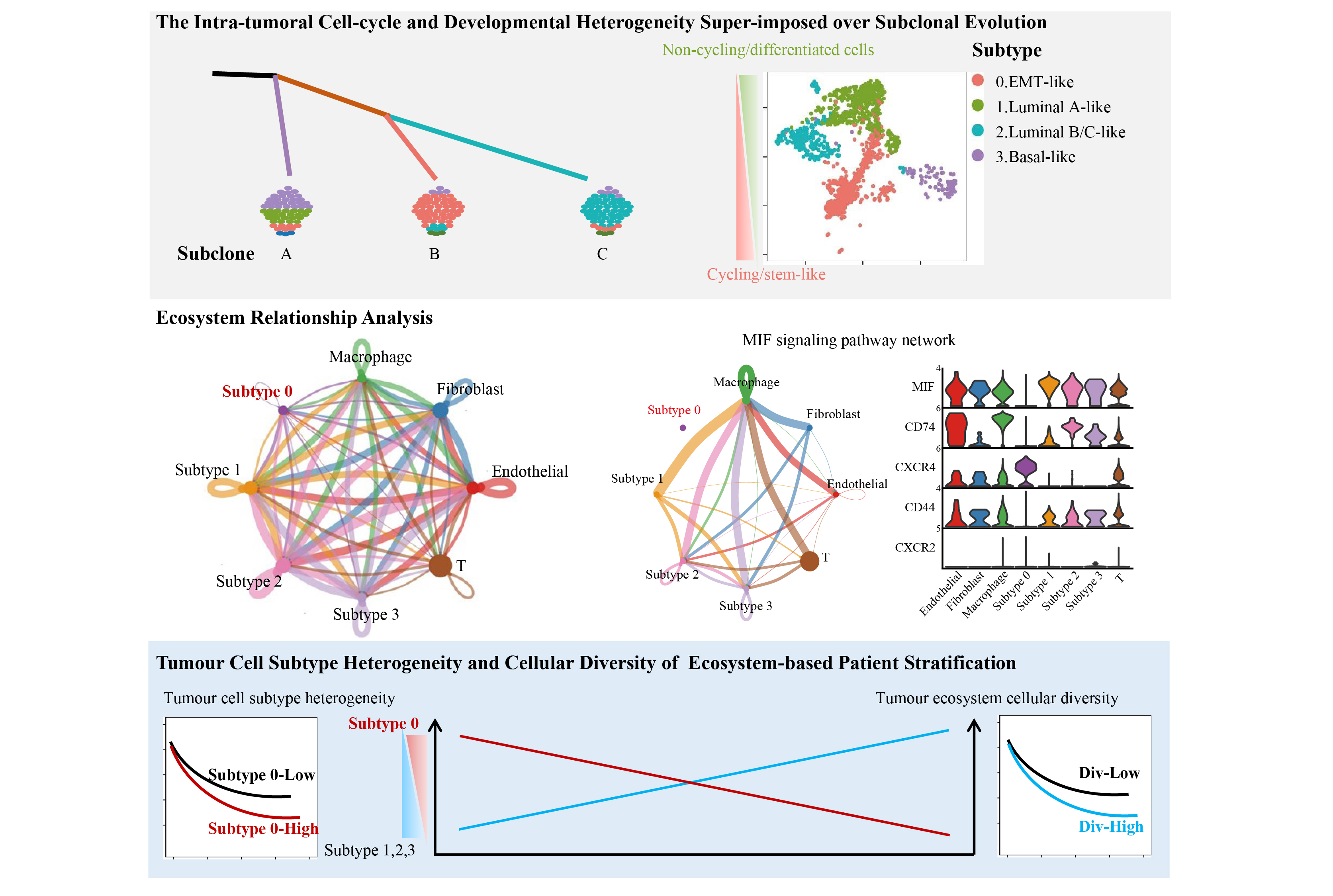 南宫娱乐·NG28(中国)官方网站