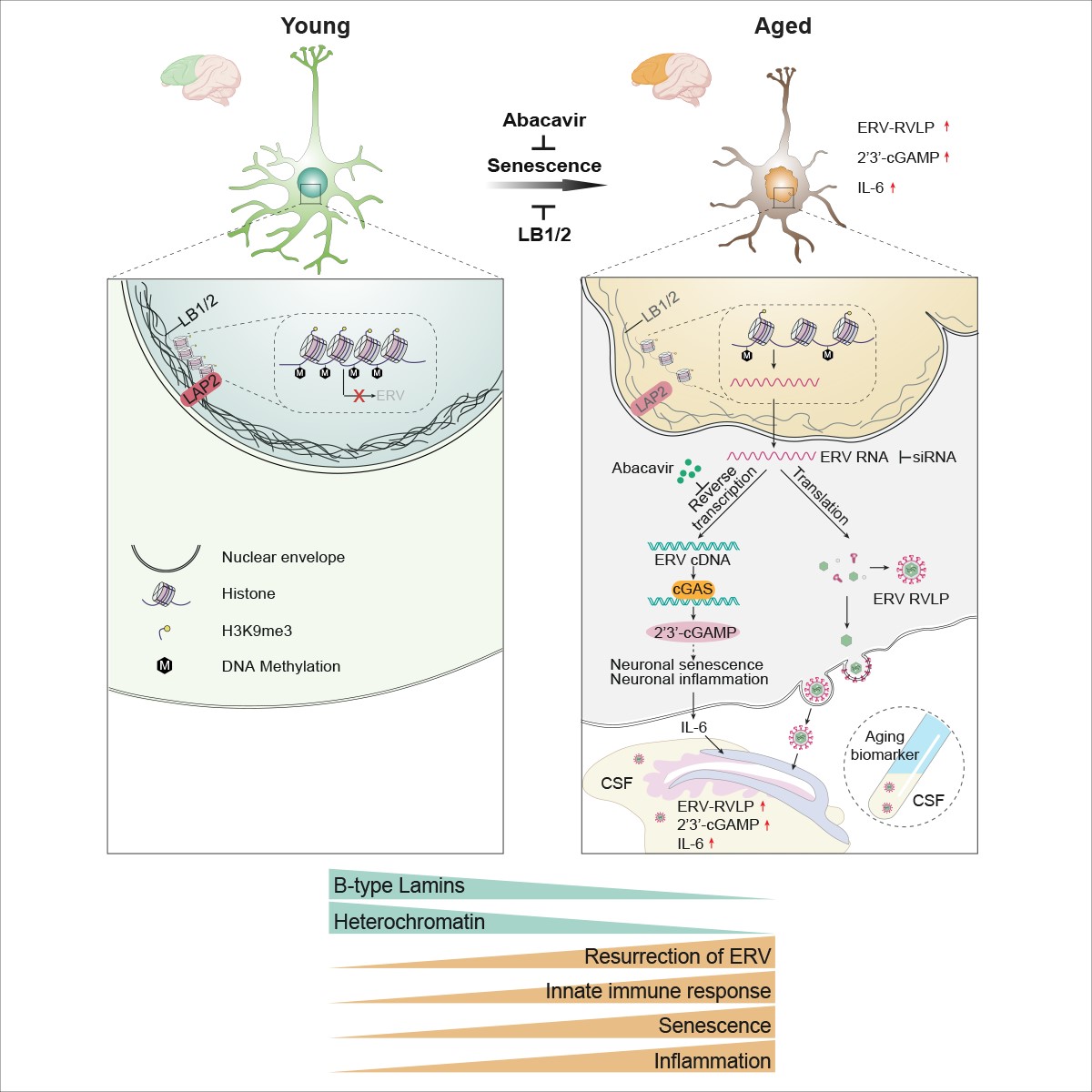 南宫娱乐·NG28(中国)官方网站