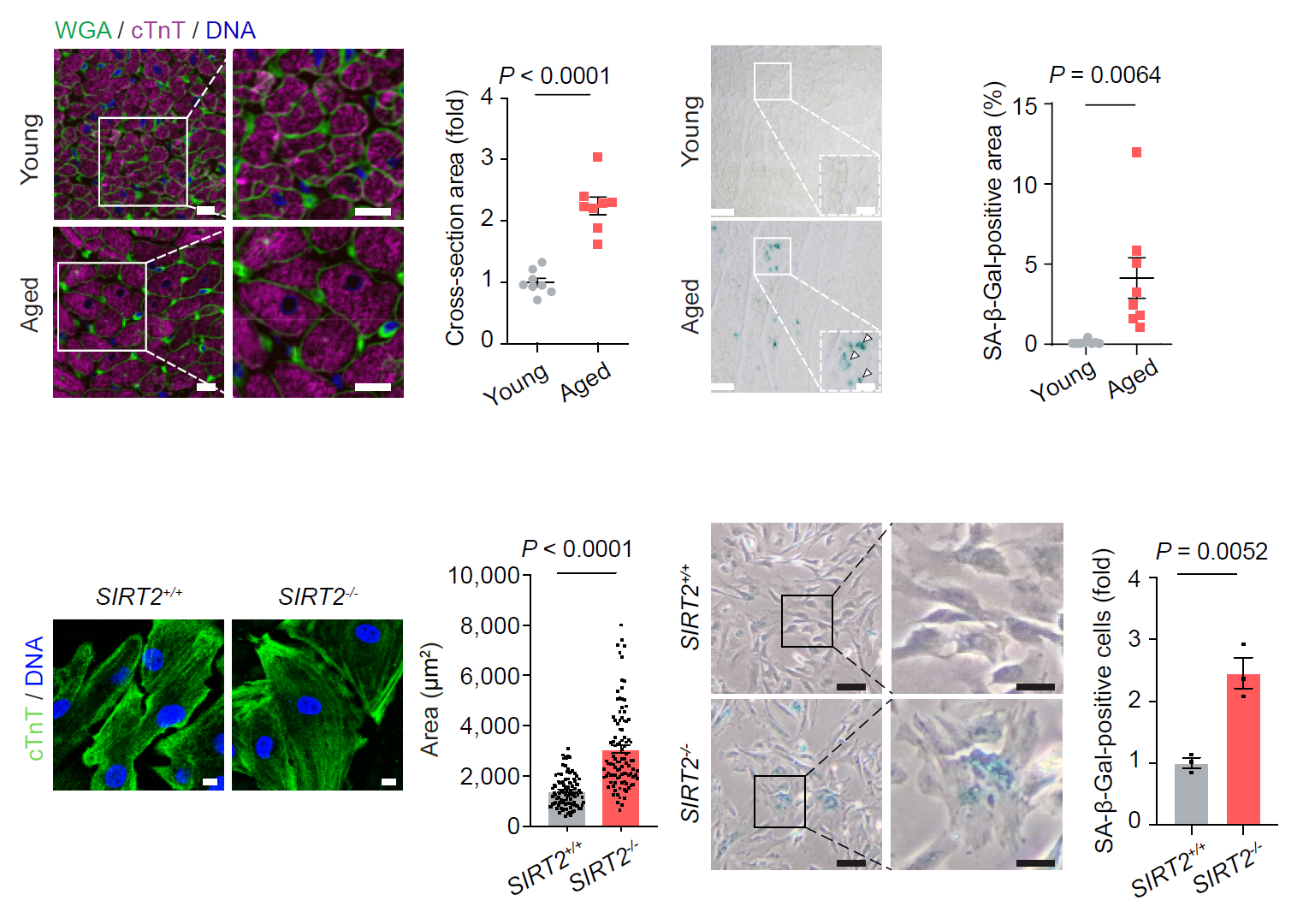 南宫娱乐·NG28(中国)官方网站