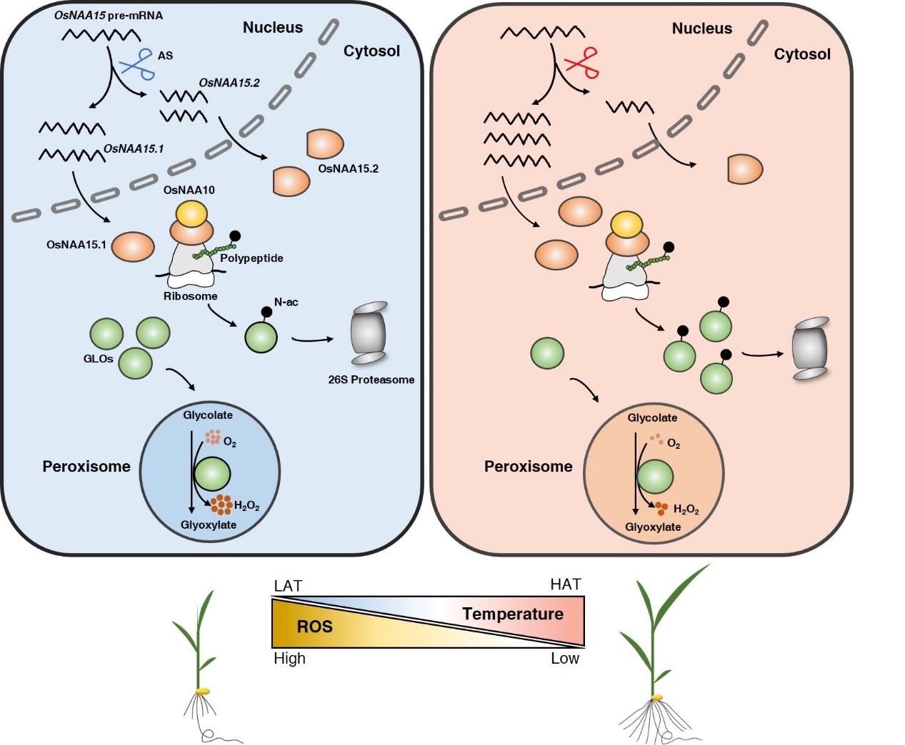 南宫娱乐·NG28(中国)官方网站
