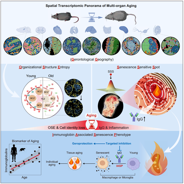 南宫娱乐·NG28(中国)官方网站