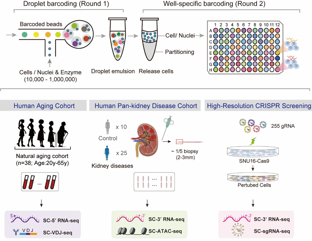 南宫娱乐·NG28(中国)官方网站