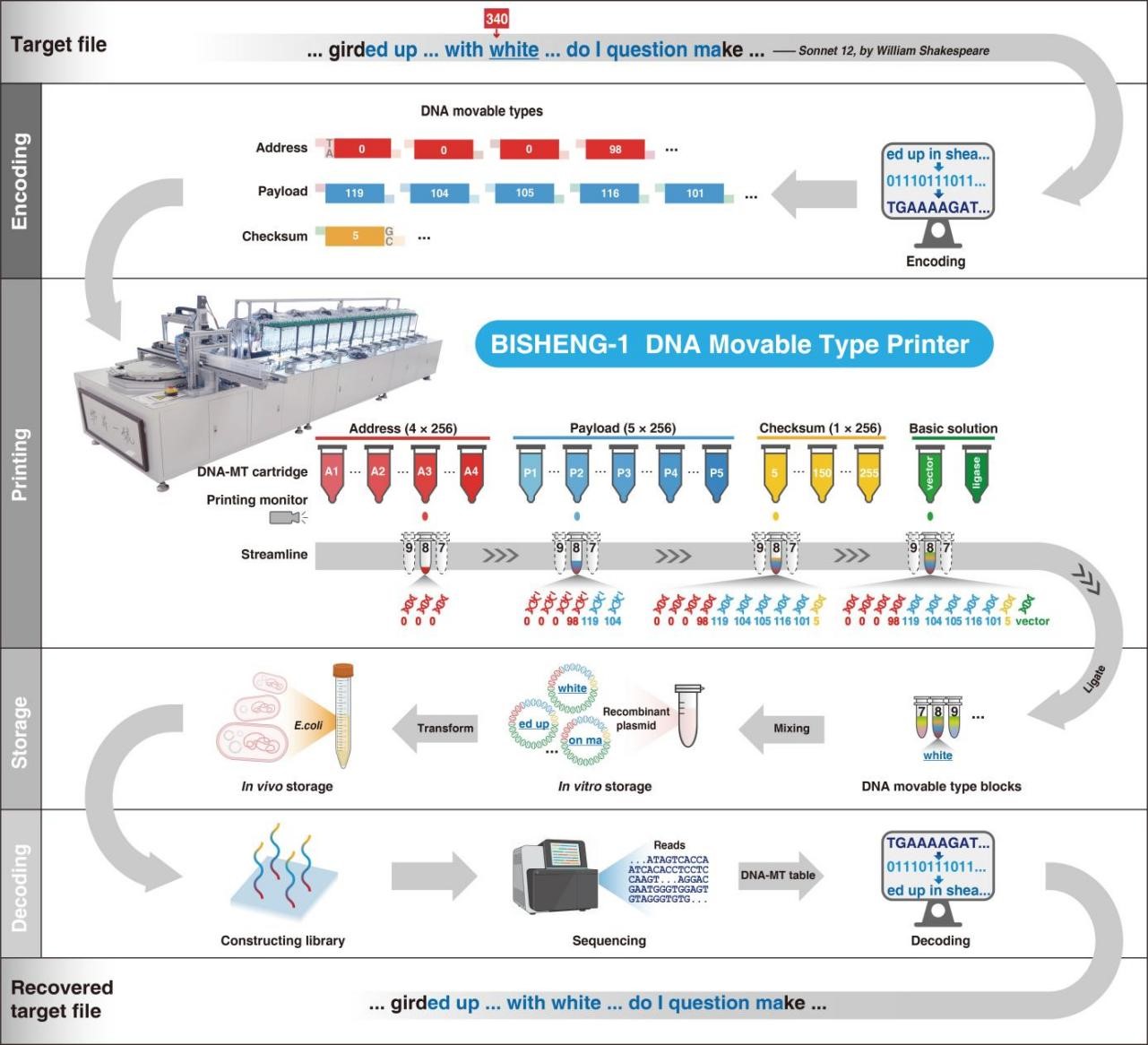 南宫娱乐·NG28(中国)官方网站