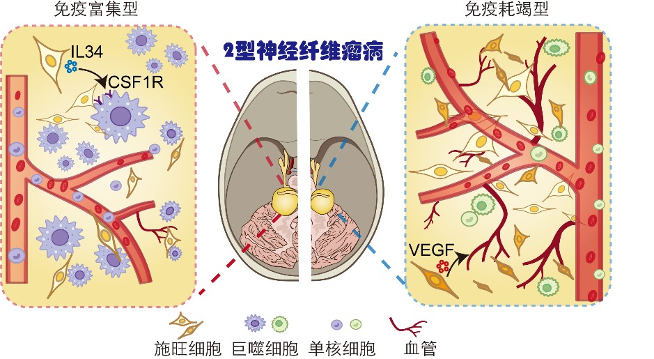 南宫娱乐·NG28(中国)官方网站