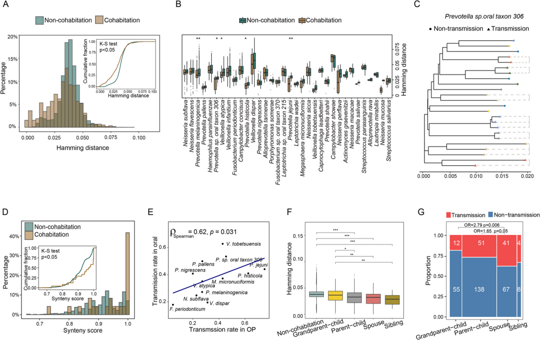 南宫娱乐·NG28(中国)官方网站
