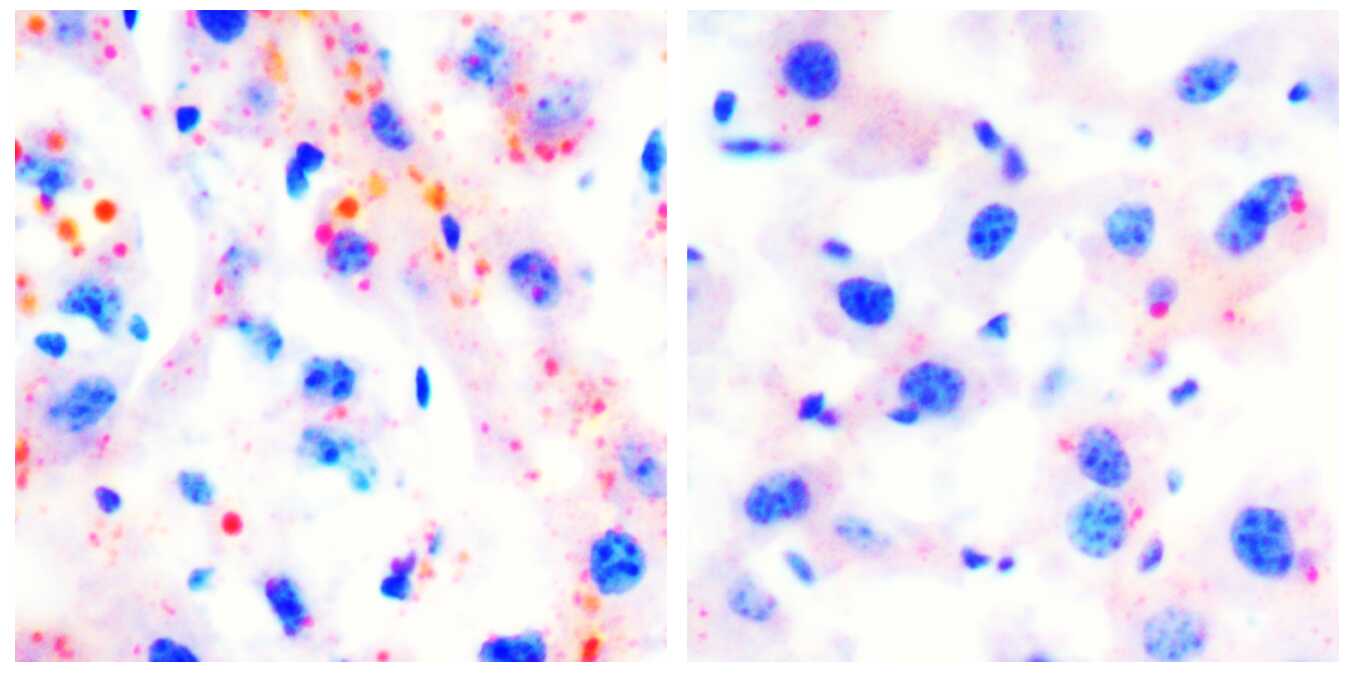 南宫娱乐·NG28(中国)官方网站