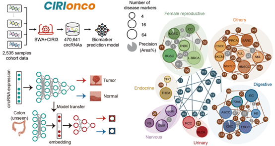 南宫娱乐·NG28(中国)官方网站