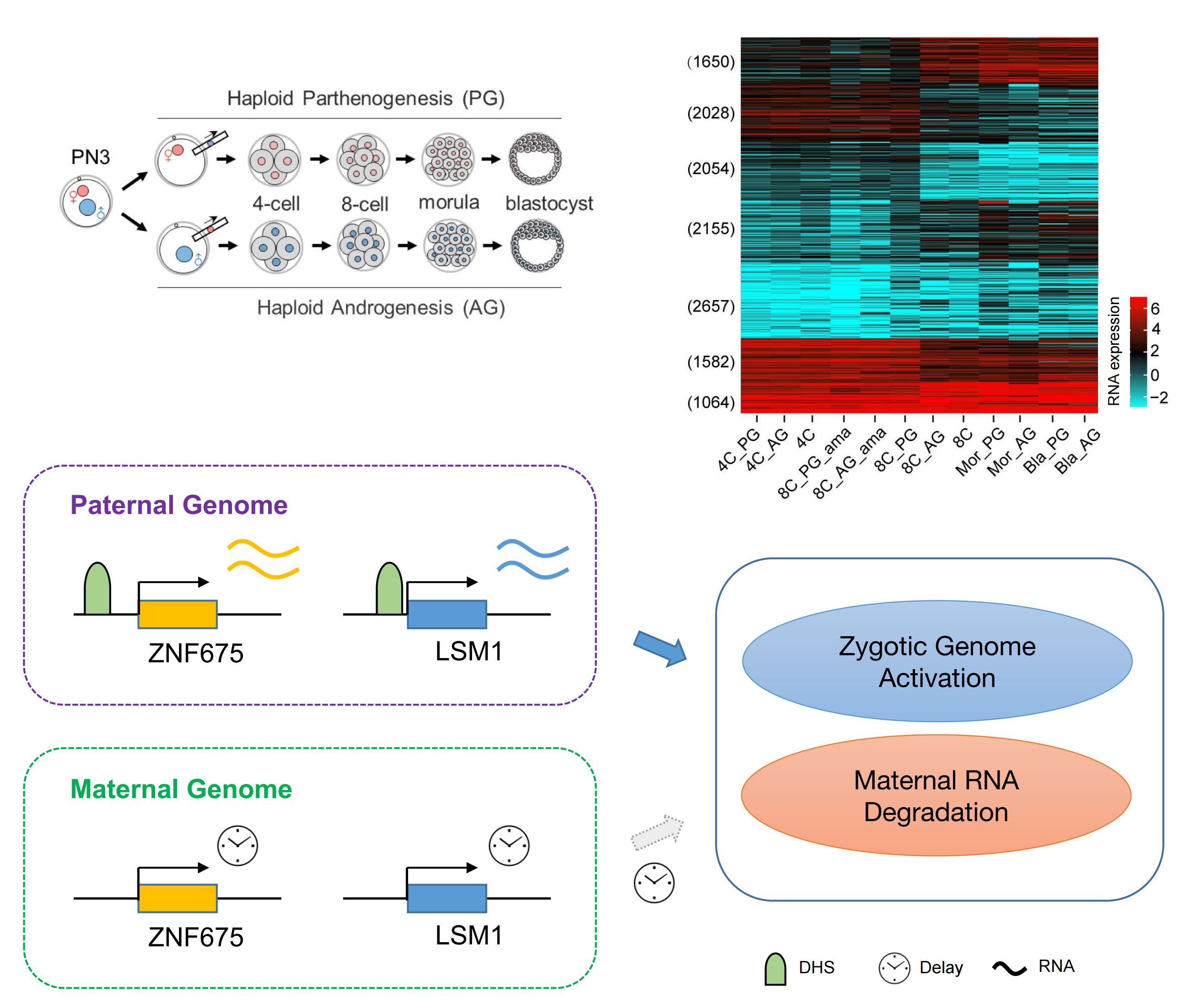 南宫娱乐·NG28(中国)官方网站