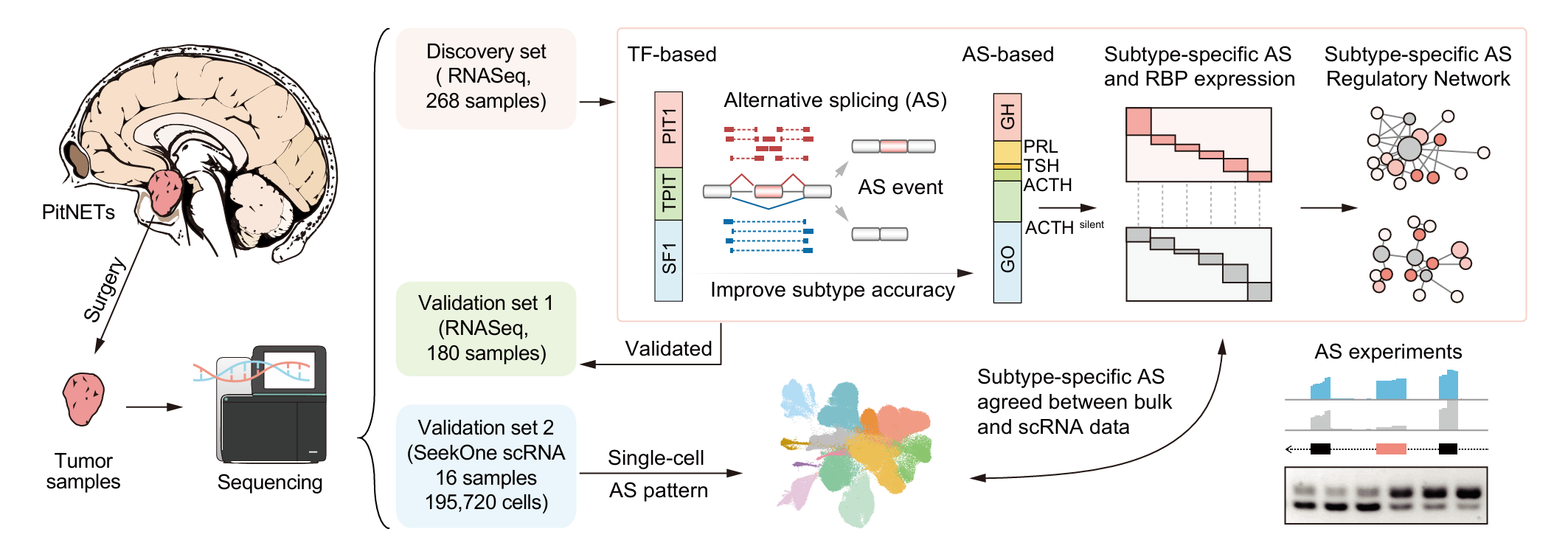 南宫娱乐·NG28(中国)官方网站