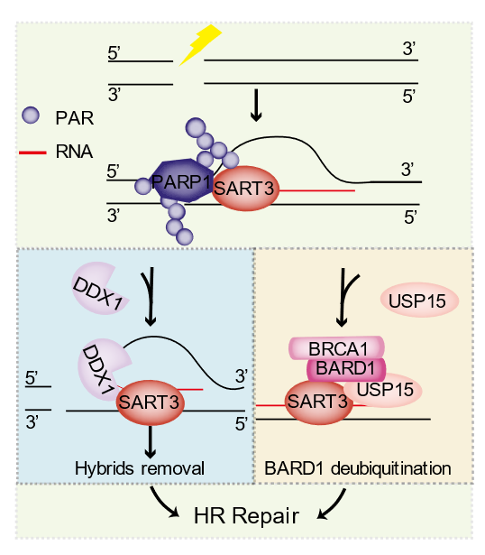 南宫娱乐·NG28(中国)官方网站