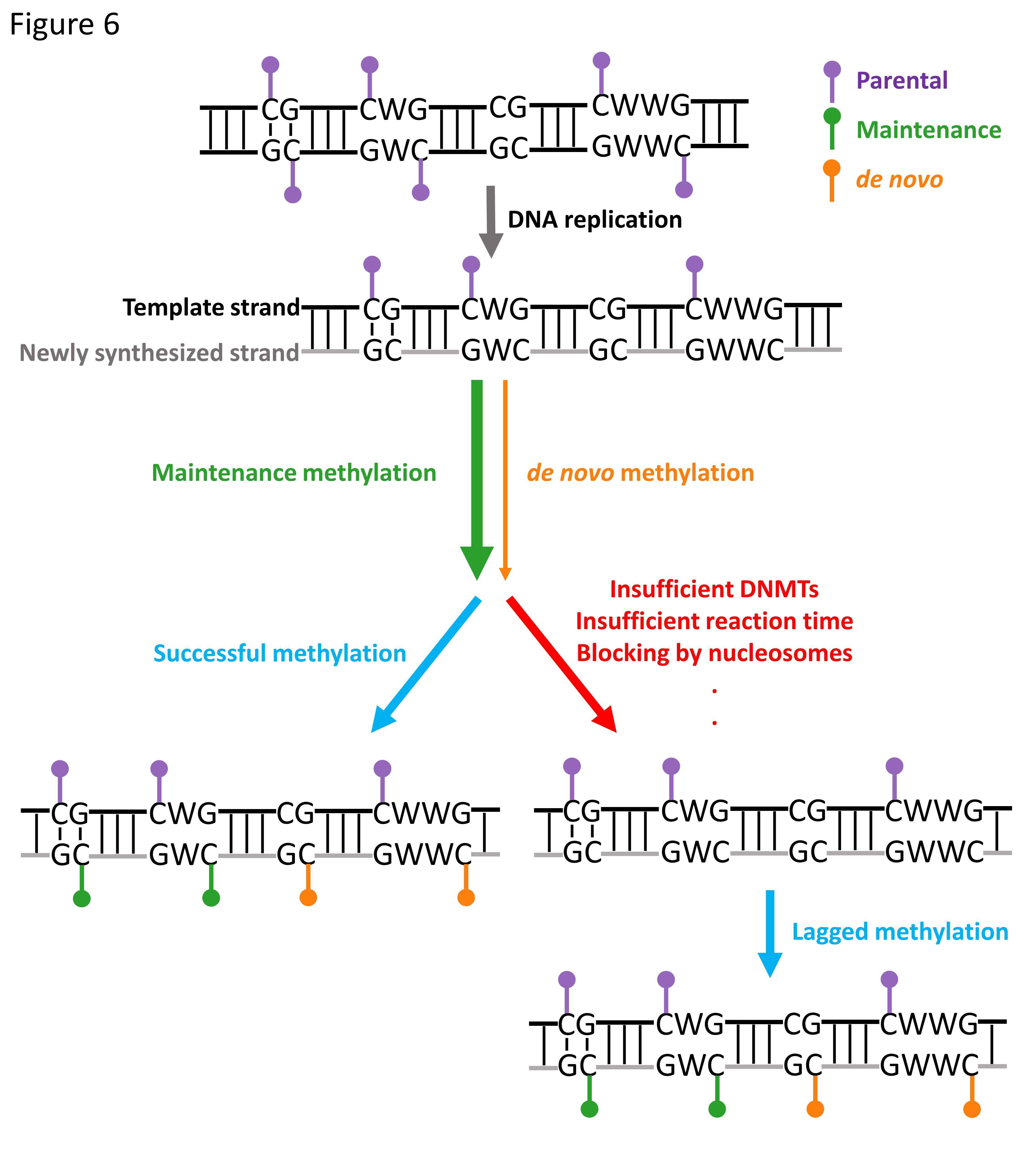南宫娱乐·NG28(中国)官方网站