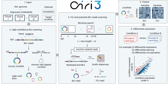 南宫娱乐·NG28(中国)官方网站