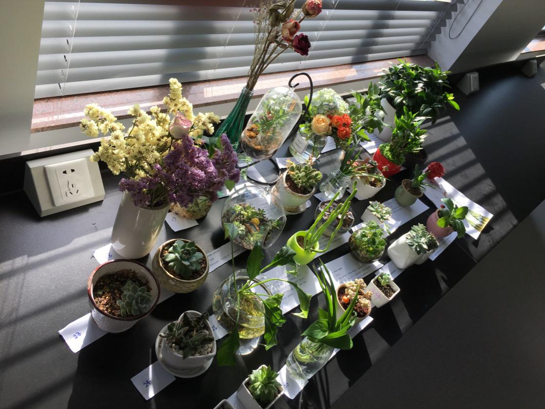 南宫娱乐·NG28(中国)官方网站